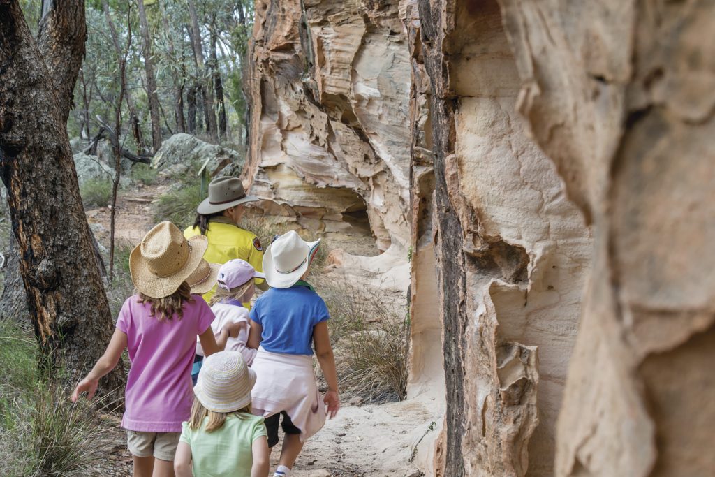 Timallallie Pilliga discovery tours, Pilliga National Park